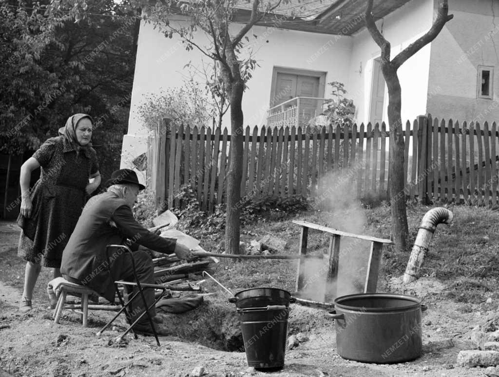 Mezőgazdaság - Szilvalekvár főzés