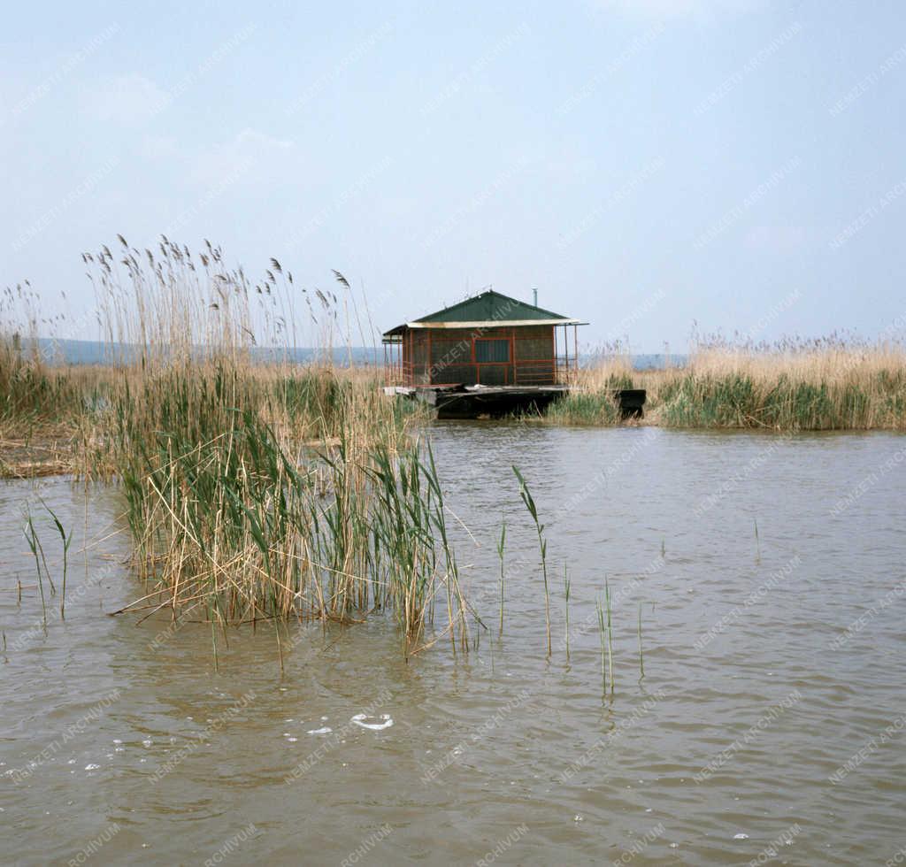 Természet - Fertő-tó