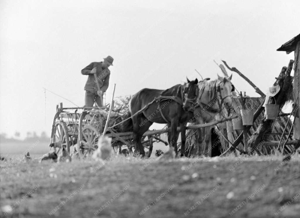 Táj, város - Kiskunság