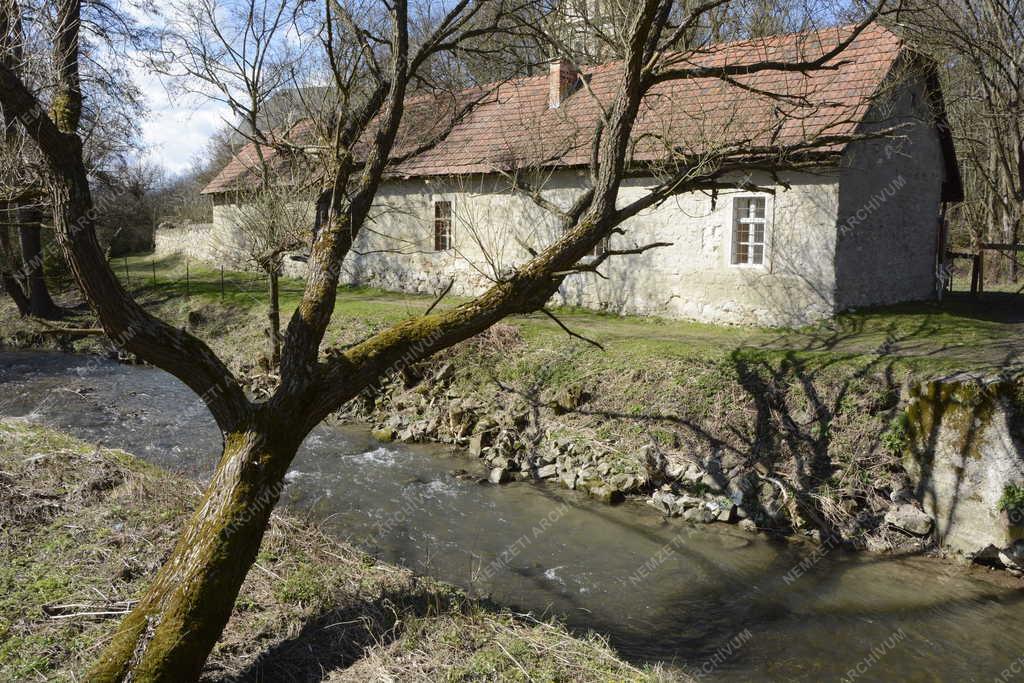 Dédestapolcsány - A Bán-patak