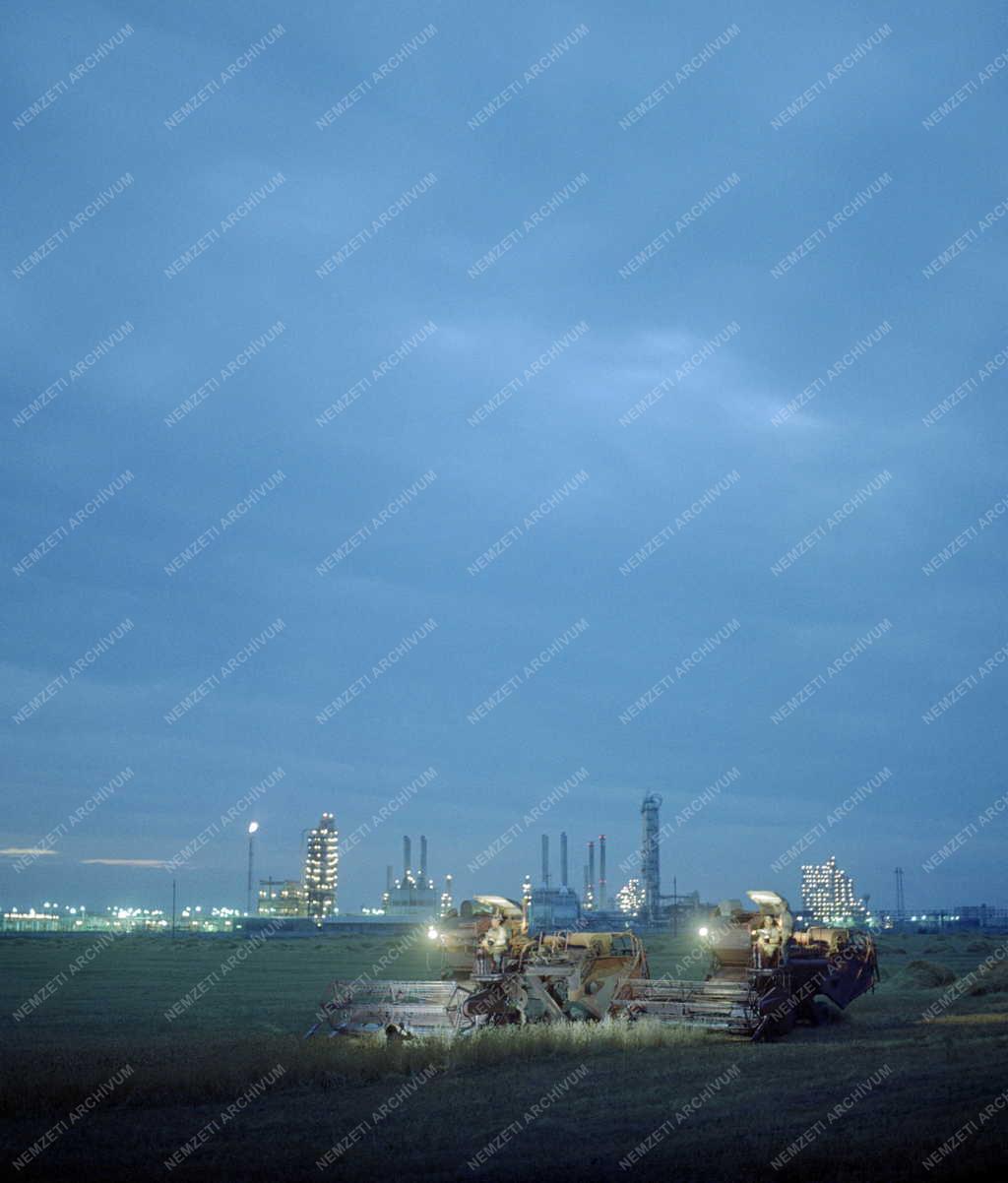 Mezőgazdaság - Esti aratás Százhalombattánál