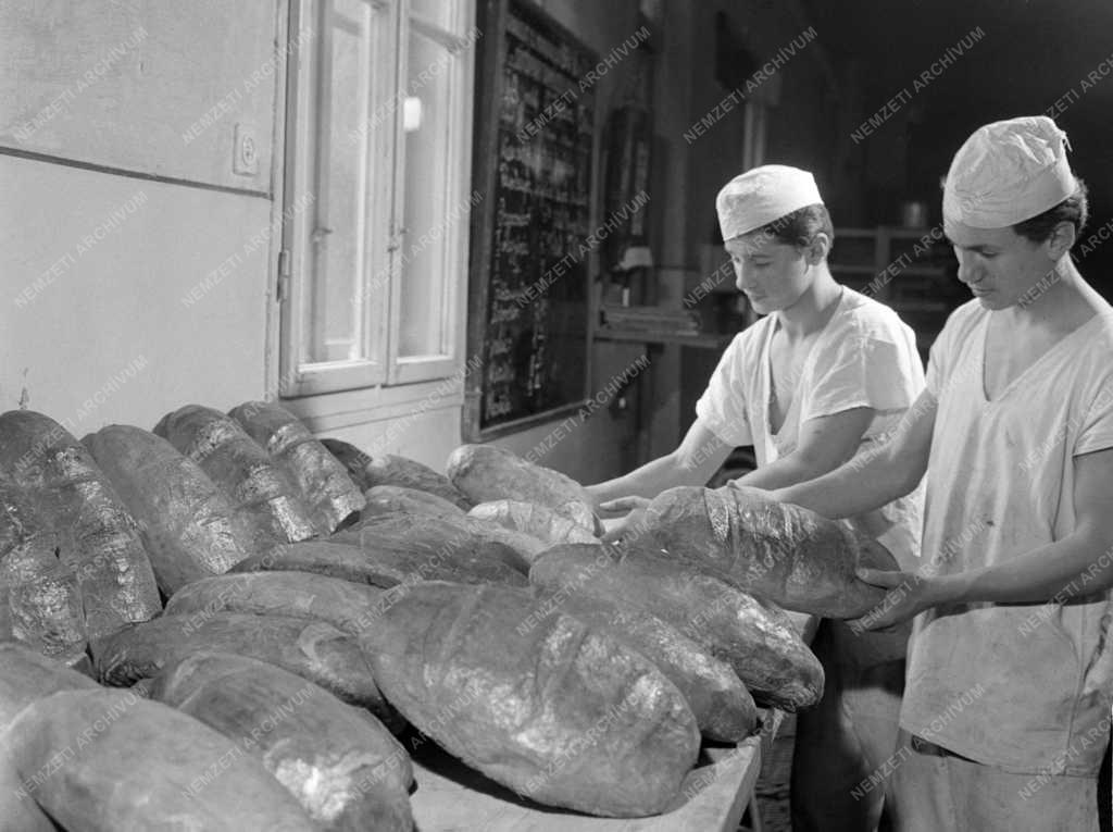 Oktatás - Élelmiszeripari Szakiskola