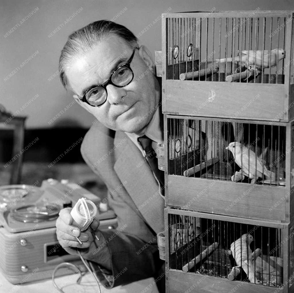 Érdekesség - Nemzetközi kanáriverseny és -kiállítás