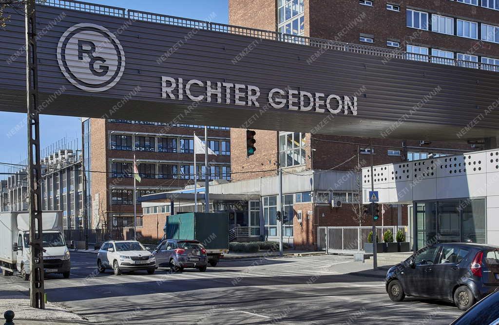 Ipar - Egészségügy - Richter Gedeon gyógyszeripari cég 