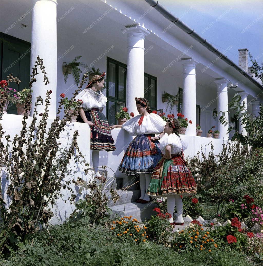 Folklór - Sárközi népművészeti ház