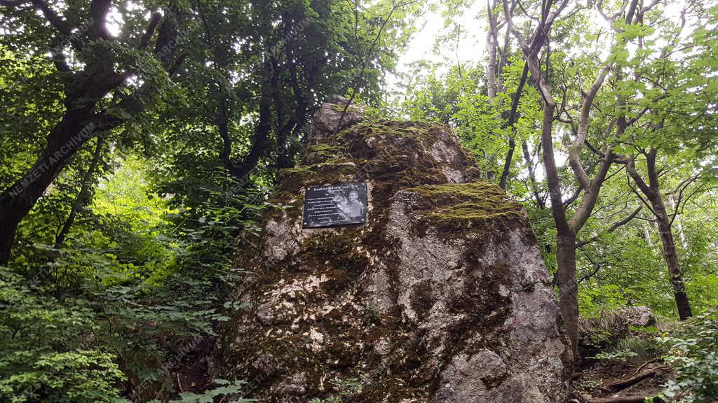 Természet - Budapest - Hármashatár-hegy