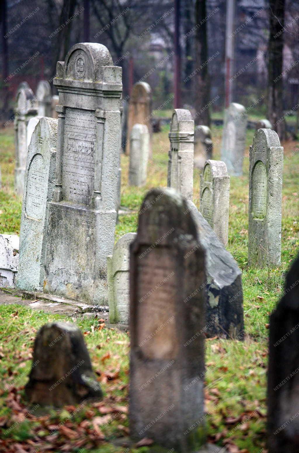 Temető - Zsidó temető Aknaszlatinán 