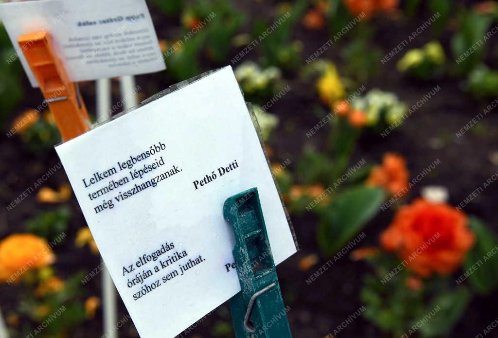 Kultúra - Érdekesség - Verskert Debrecenben