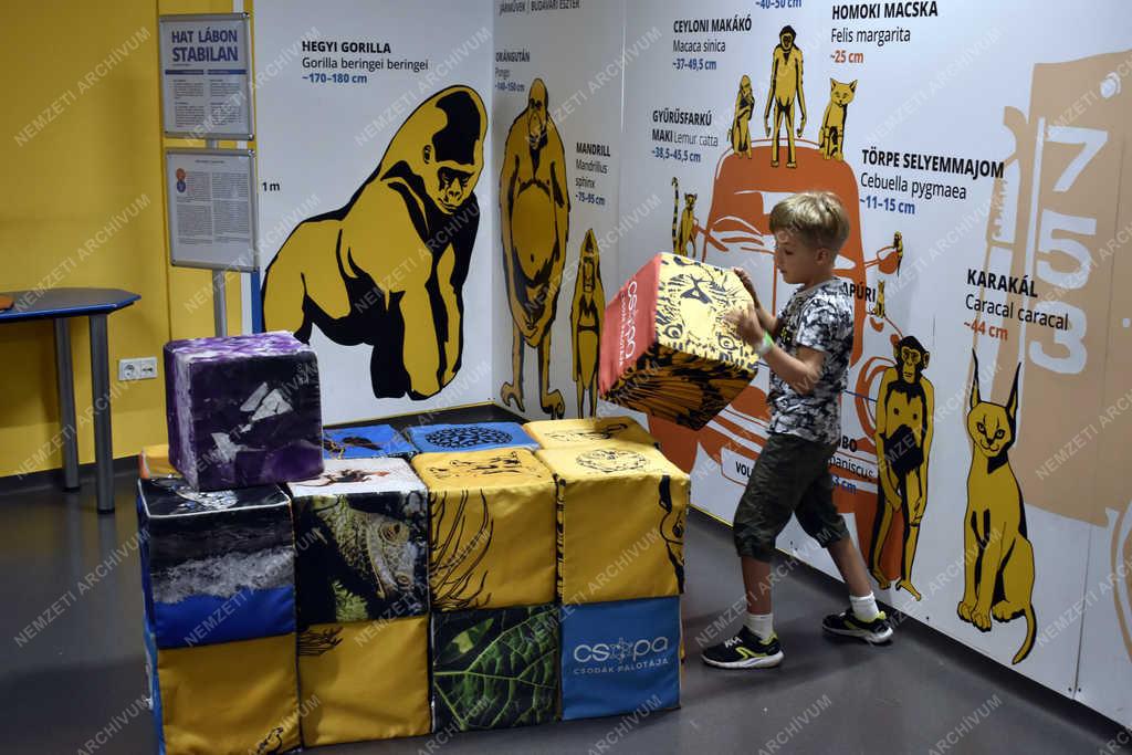 Szabadidő - Budapest - Csodák Palotája