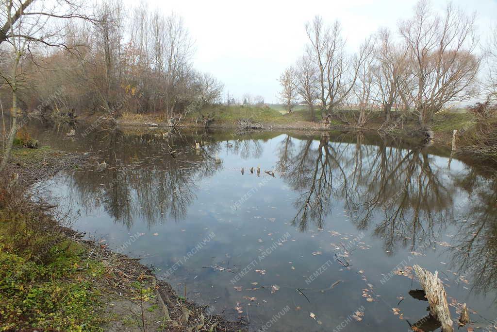 Természet - Letkés - Ipoly holtág