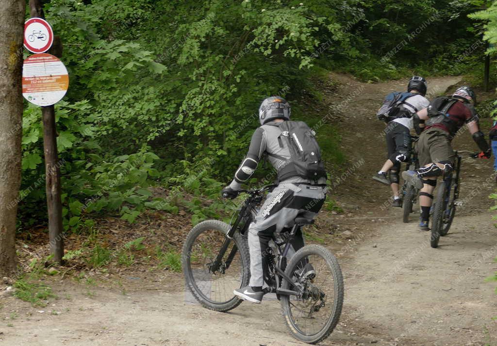 Szabadidő - Sport - Hegyi kerékpározás a Budai-hegységben