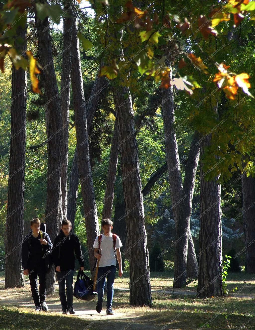 Életkép - Gödöllő - Az egyetem őszi parkjában