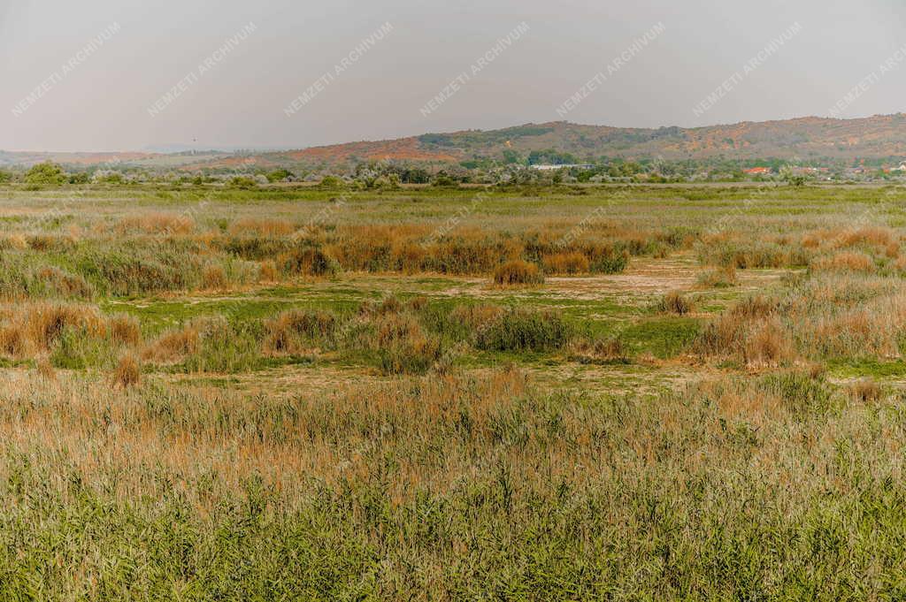 Időjárás - Hőség - Velencei-tó