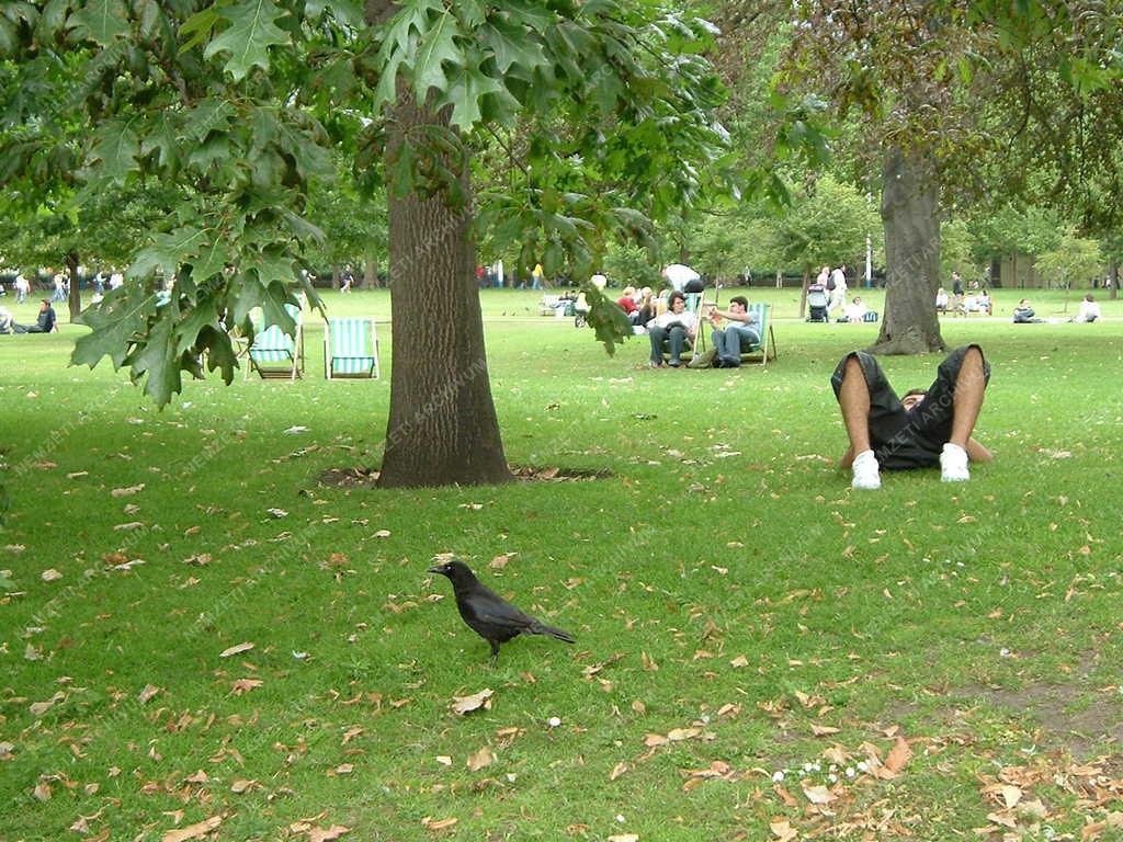 London - St. James park 