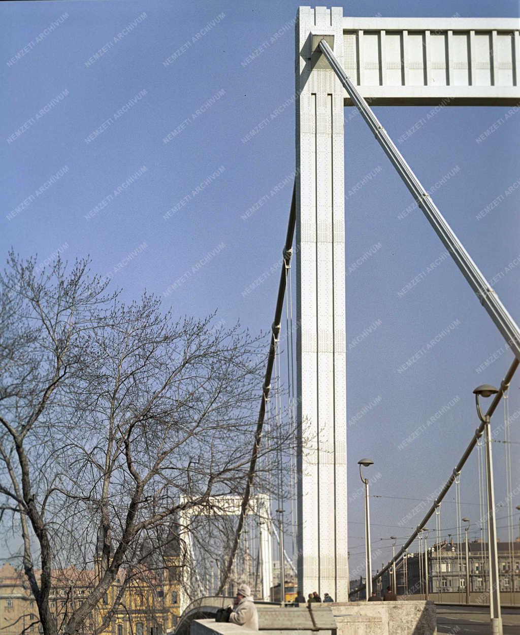 Városkép - Budapest - Erzsébet híd