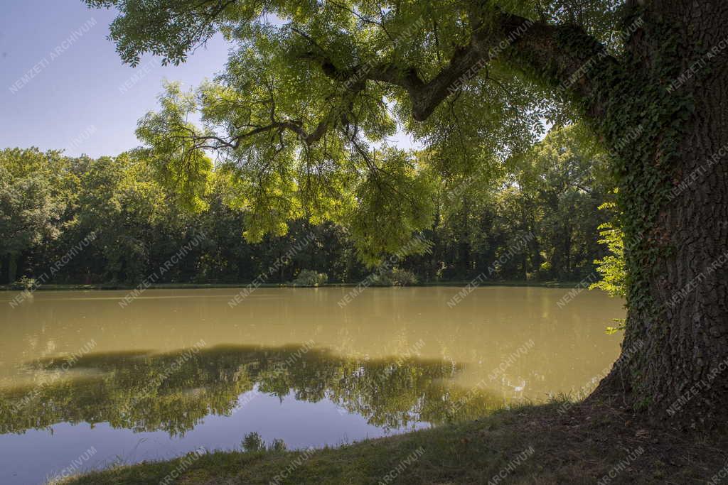 Település - Dénesfa - Cziráky-kastély park