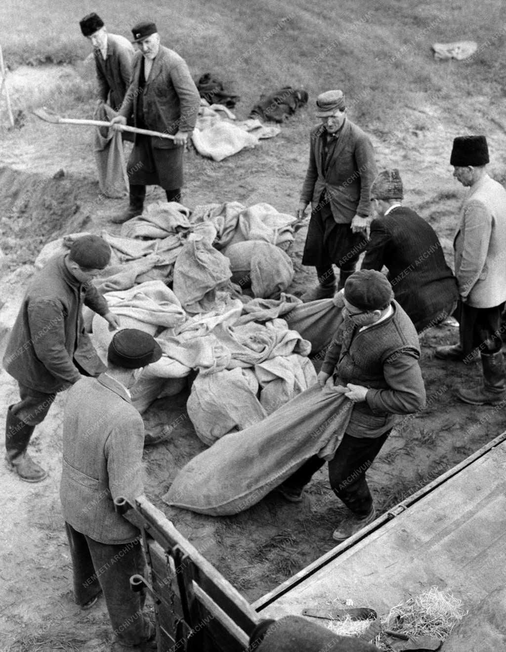 Katasztrófavédelem - Árvíz a Rába folyó mentén