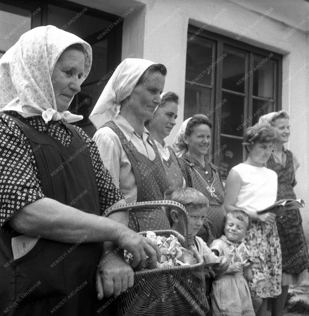 Mezőgazdaság - Erdei Termék Vállalat   