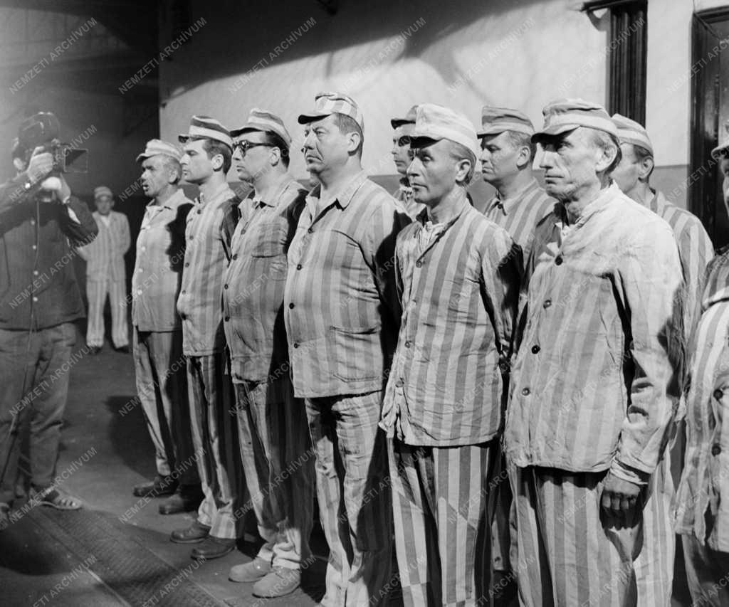 Kultúra - Fotó Háber című film forgatása