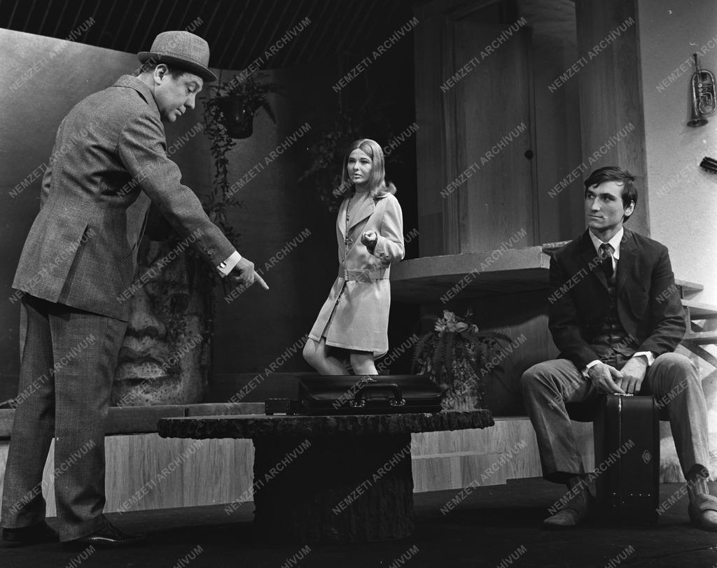 Kultúra - Színház - Vészi Endre: Üvegcsapda