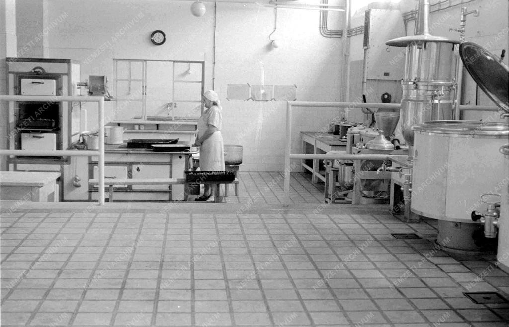 Egészségügy - A  szolnoki tüdőkórház avatása