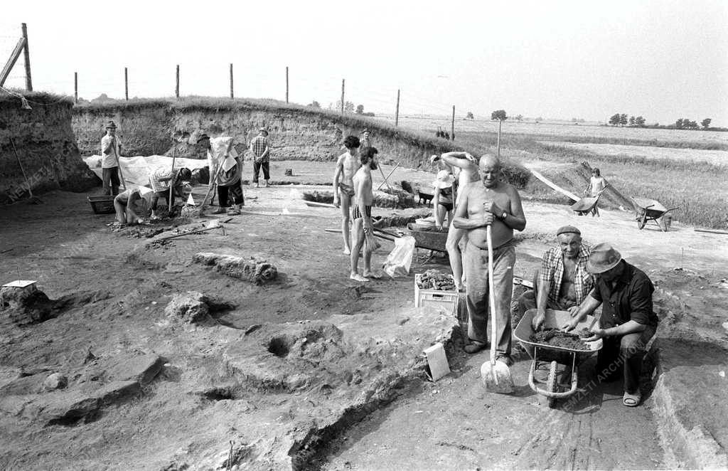 Régészet - Ásatás a herpályi földvár területén 