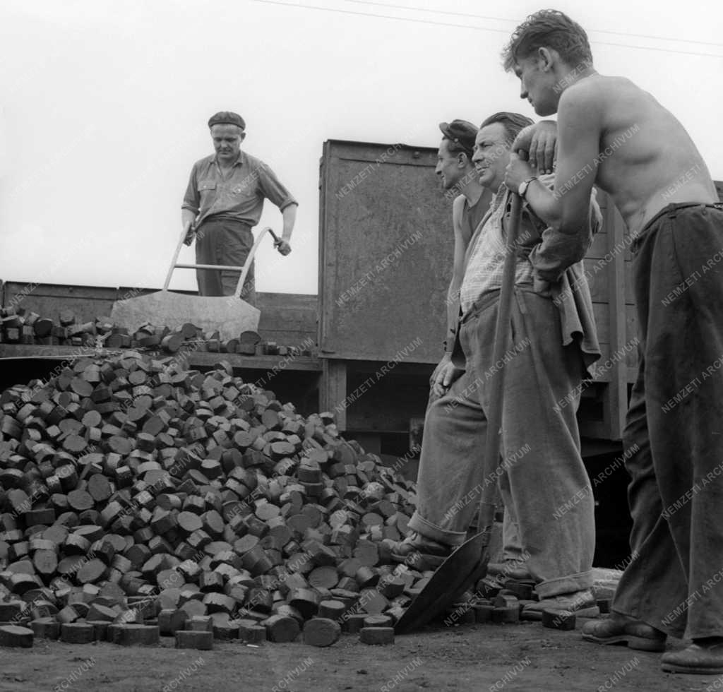 Gépipar - Új mechanikus kirakó géplapát