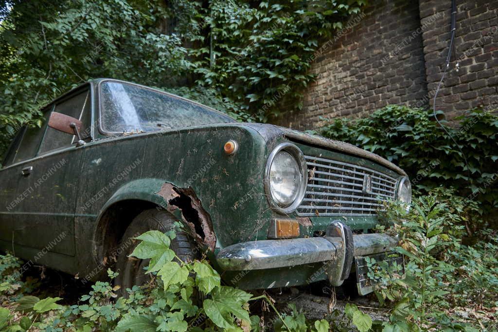 Közlekedés - Forgalomból kivont régi Zsiguli egy fővárosi kertben