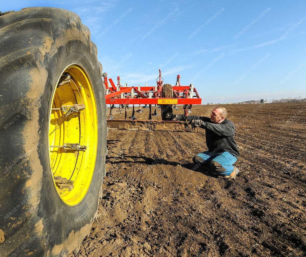 Mezőgazdaság - Hajdúszovát - Talajelőkészítés