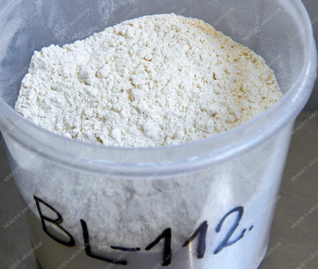 Élelmiszeripar - Hajdúnánás - Őrlik az új gabonát