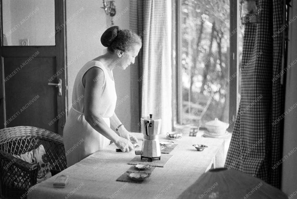 Kultúra - Pihenő művészek a Balaton mellett