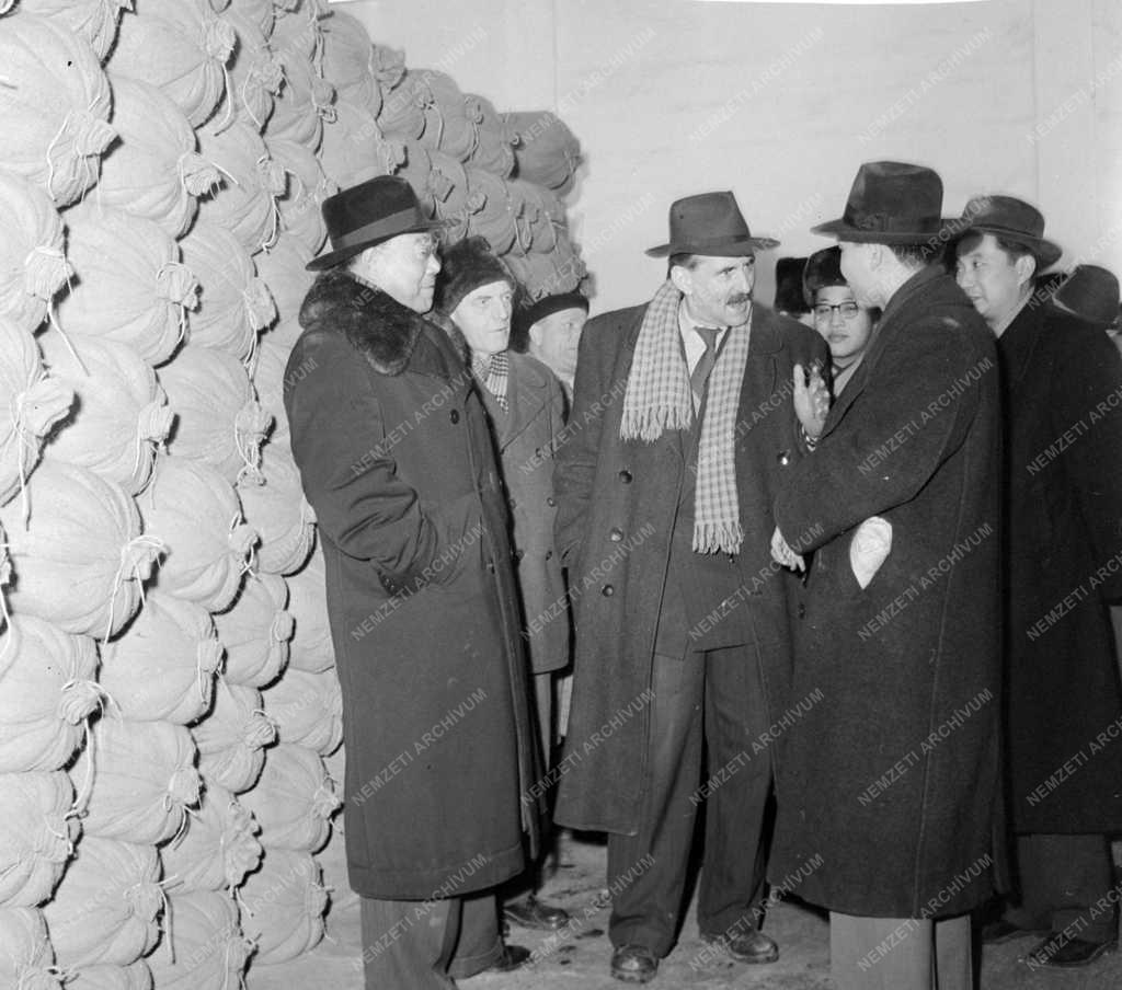 Külkapcsolat - Küldöttek a Dalmandi Állami Gazdaságban