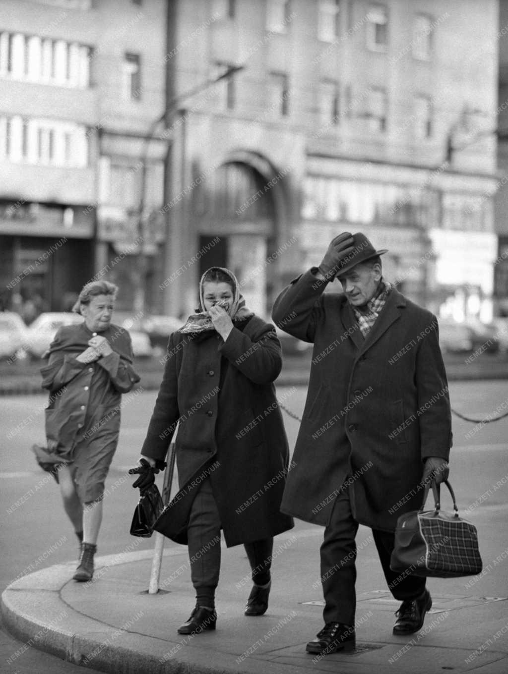 Időjárás - Szélvihar Budapesen