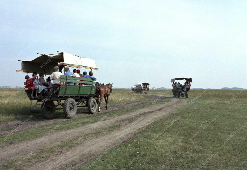 Turizmus – Idegenforgalom a Hortobágyon