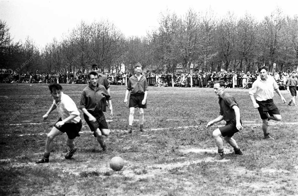 Sport - Labdarúgás - Az angol válogatott játékosai Balatonbogláron