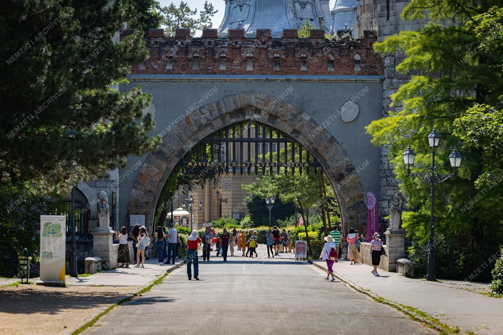 Városkép - Budapest - Vajdahunyad vára