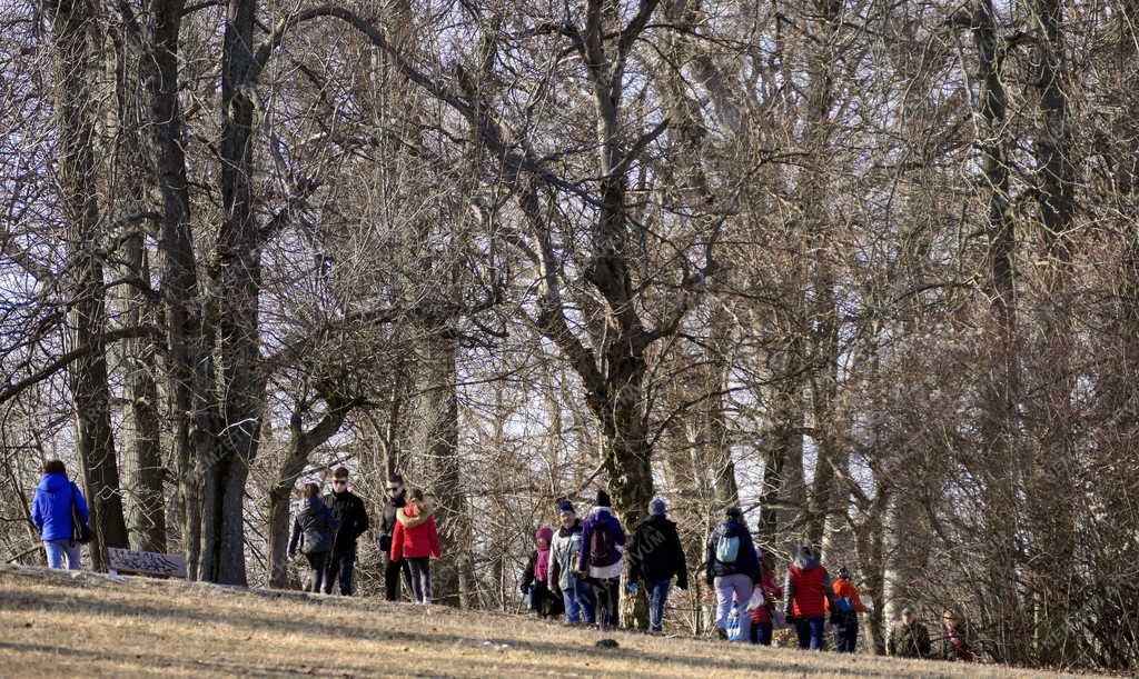 Szabadidő - Budapest - Kirándulók a Normafánál 