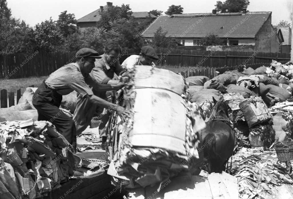 Hulladékgyűjtés - Papírgyűjtés - Újpesti MÉH telep