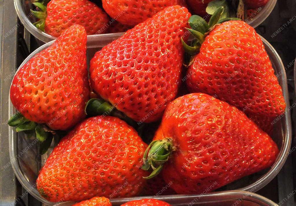 Kereskedelem - Budapest - Központi Vásárcsarnok