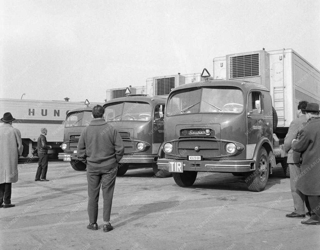 Közlekedés - Az Autóközlekedési Vállalat új hűtő teherjármúvei