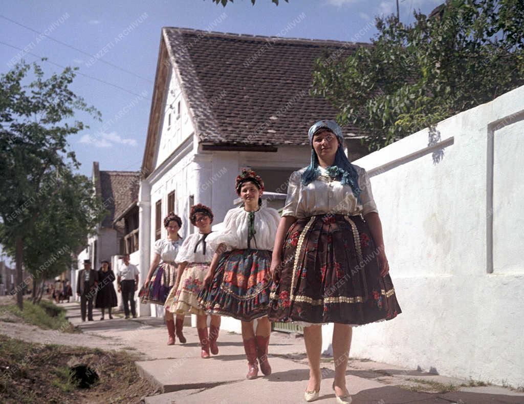 Kultúra - Néphagyomány - Sárközi Napok