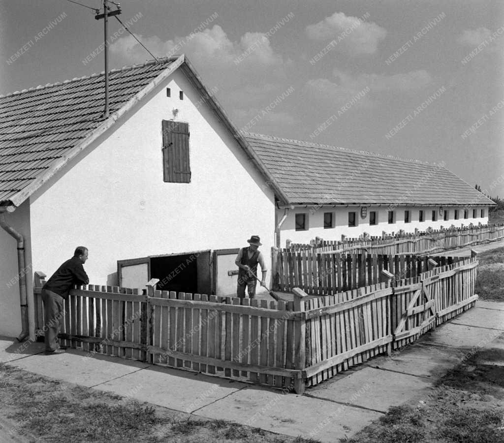 Mezőgazdaság - Lakiteleki Szikra Termelőszövetkezet sertésfiaztatója