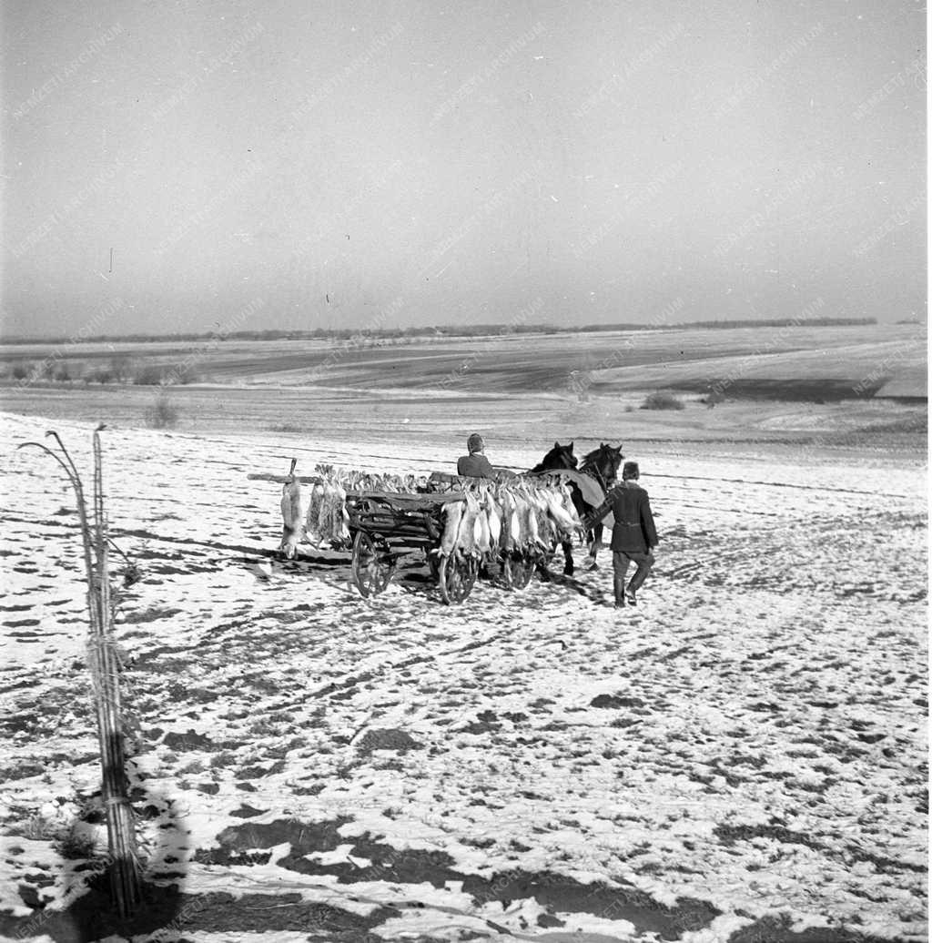 Szabadido - Vadászat a Bakonyban