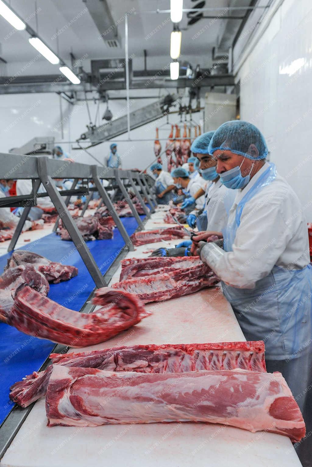 Élelmiszeripar - Debrecen - Húsfeldolgozás 