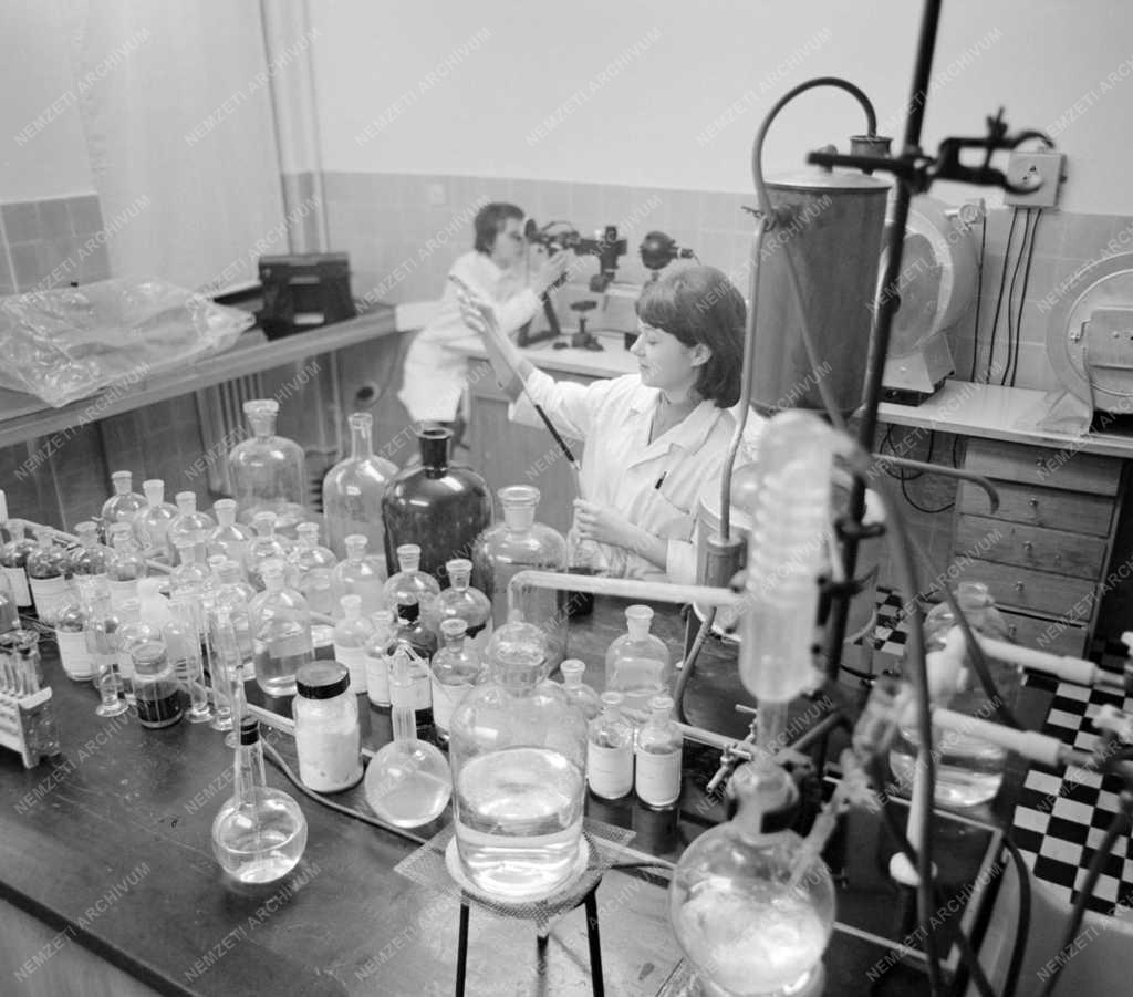 Egészségügy - A Köjál új laboratóriuma Veszprémben
