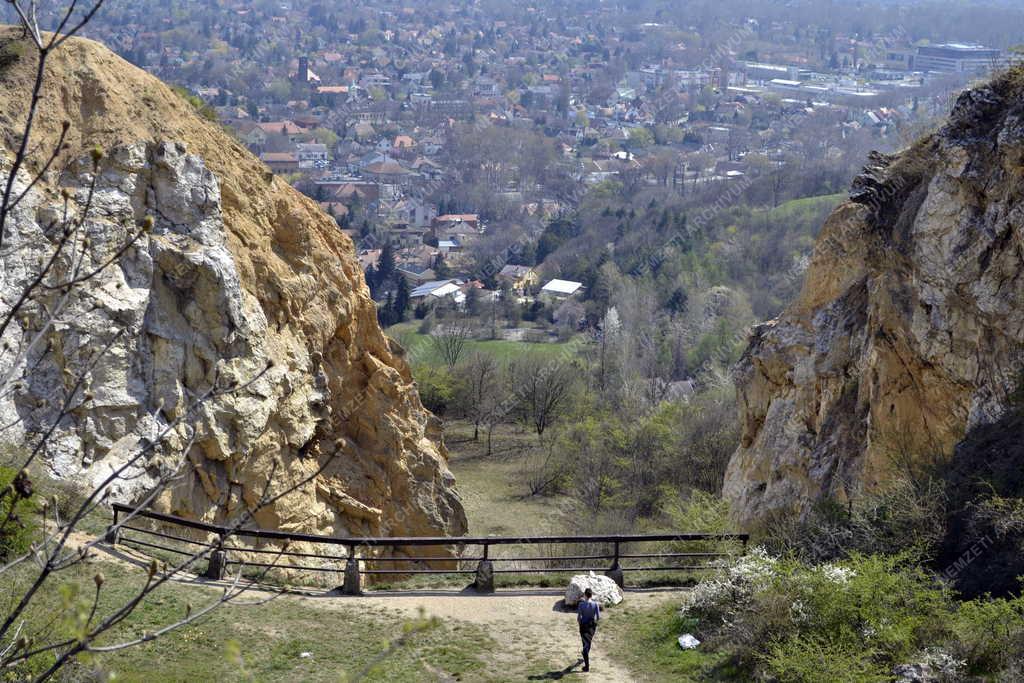 Természet - Budapest - Kőfejtő a Róka-hegyen