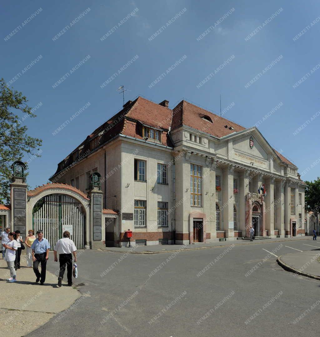 Egészségügy - Debrecen - Egységes betegellátó-rendszer