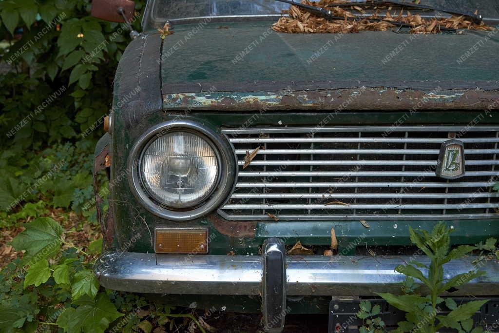 Közlekedés - Forgalomból kivont régi Zsiguli egy fővárosi kertben