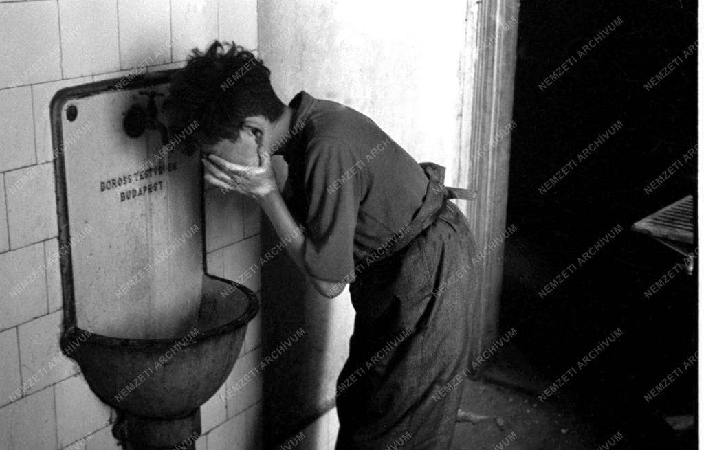 Misi (egy rikkancs) egy napja