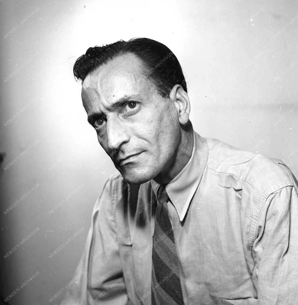 Portré - Benedek Tibor 